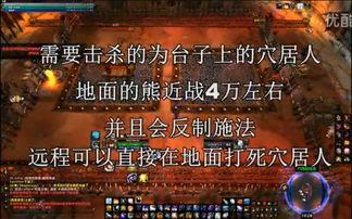 淑女俱乐部视频,时尚穿搭与优雅生活的完美融合